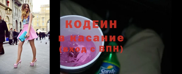 шишки Новозыбков