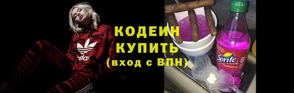 шишки Новозыбков