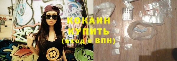 шишки Новозыбков