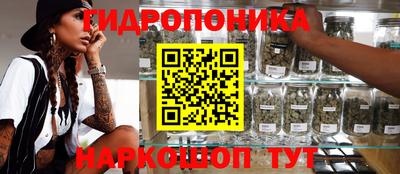 ПСИЛОЦИБИНОВЫЕ ГРИБЫ Кандалакша