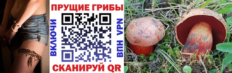 продажа наркотиков  kraken вход  Псилоцибиновые грибы Magic Shrooms  Котовск 
