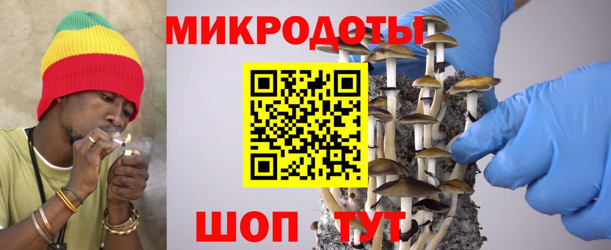 Галлюциногенные грибы Magic Shrooms Котовск