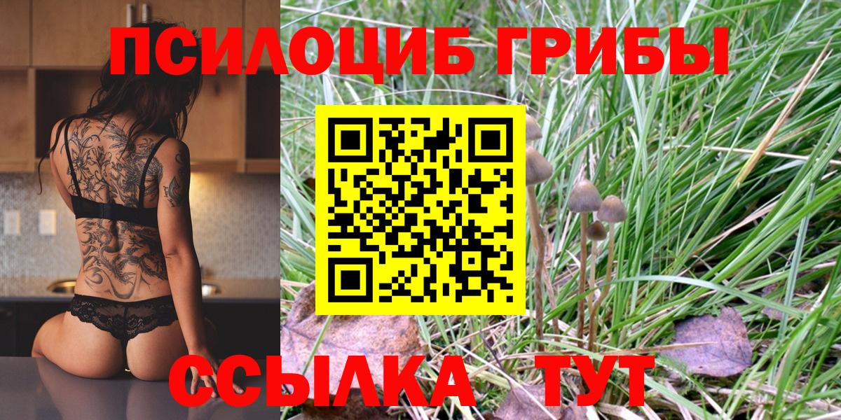 Псилоцибиновые грибы ЛСД  Вход с VPN  Псилоцибиновые грибы Psilocybine cubensis  Котовск 