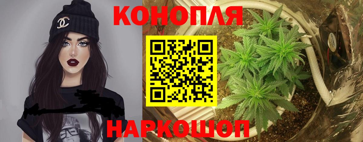 Бошки Шишки Ganja Котовск